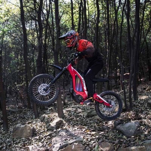 What Are The Best E-Bikes For 2025 And Where Can I Buy Them Online